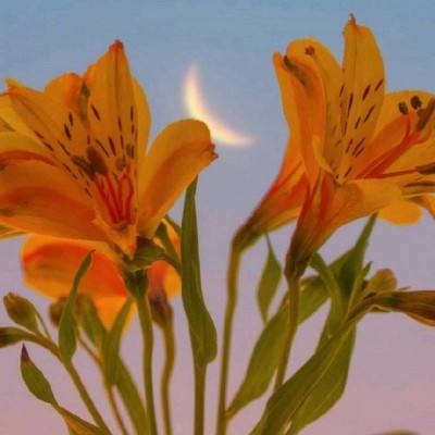 反斗海战网易游戏公测版下载