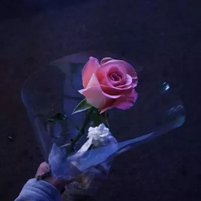 舞动青春游戏九游版下载